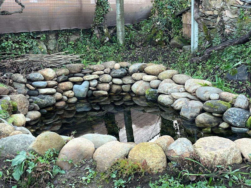 Casa Do Adro-Passadicos Do Paiva Aroucaヴィラ エクステリア 写真