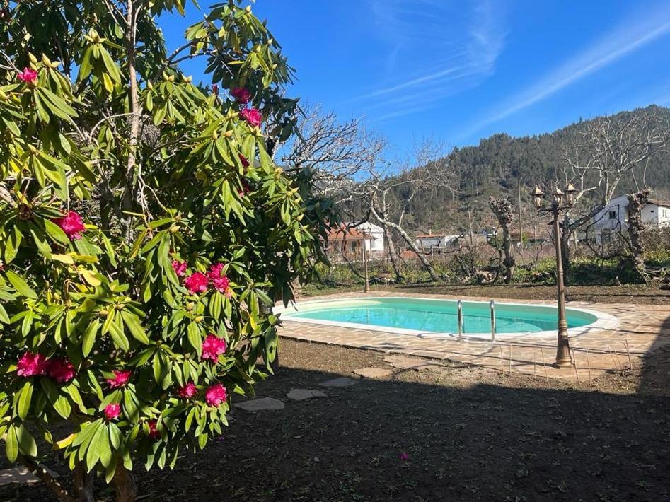 Casa Do Adro-Passadicos Do Paiva Aroucaヴィラ エクステリア 写真